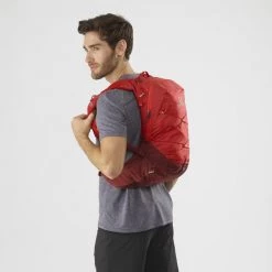Sacs Hydratation SALOMON XT 15 GOJI BERRY/MADDER BROWN 22 Rouge 7 Sacs Hydratation SALOMON XT 15 GOJI BERRY/MADDER BROWN 22 Rouge -Sacs de voyage Soldes Boutique 9 83674 lc1518900 03